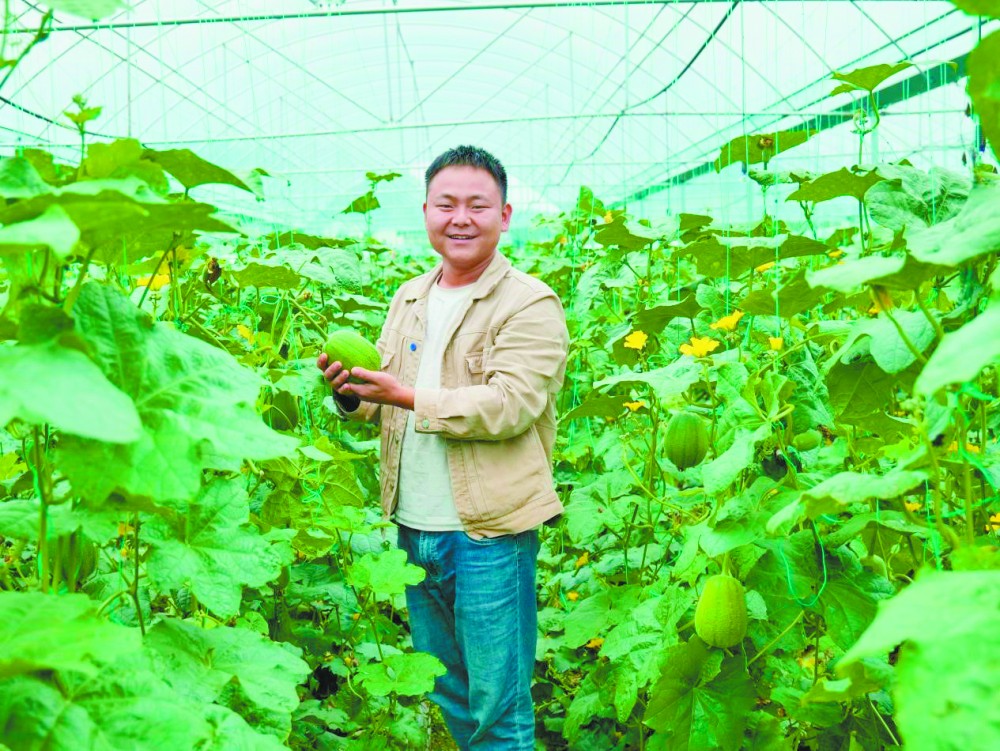 胡果在查看丝果生长情况.jpg